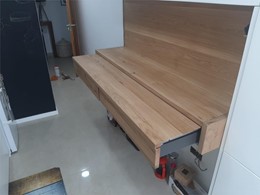 MESA